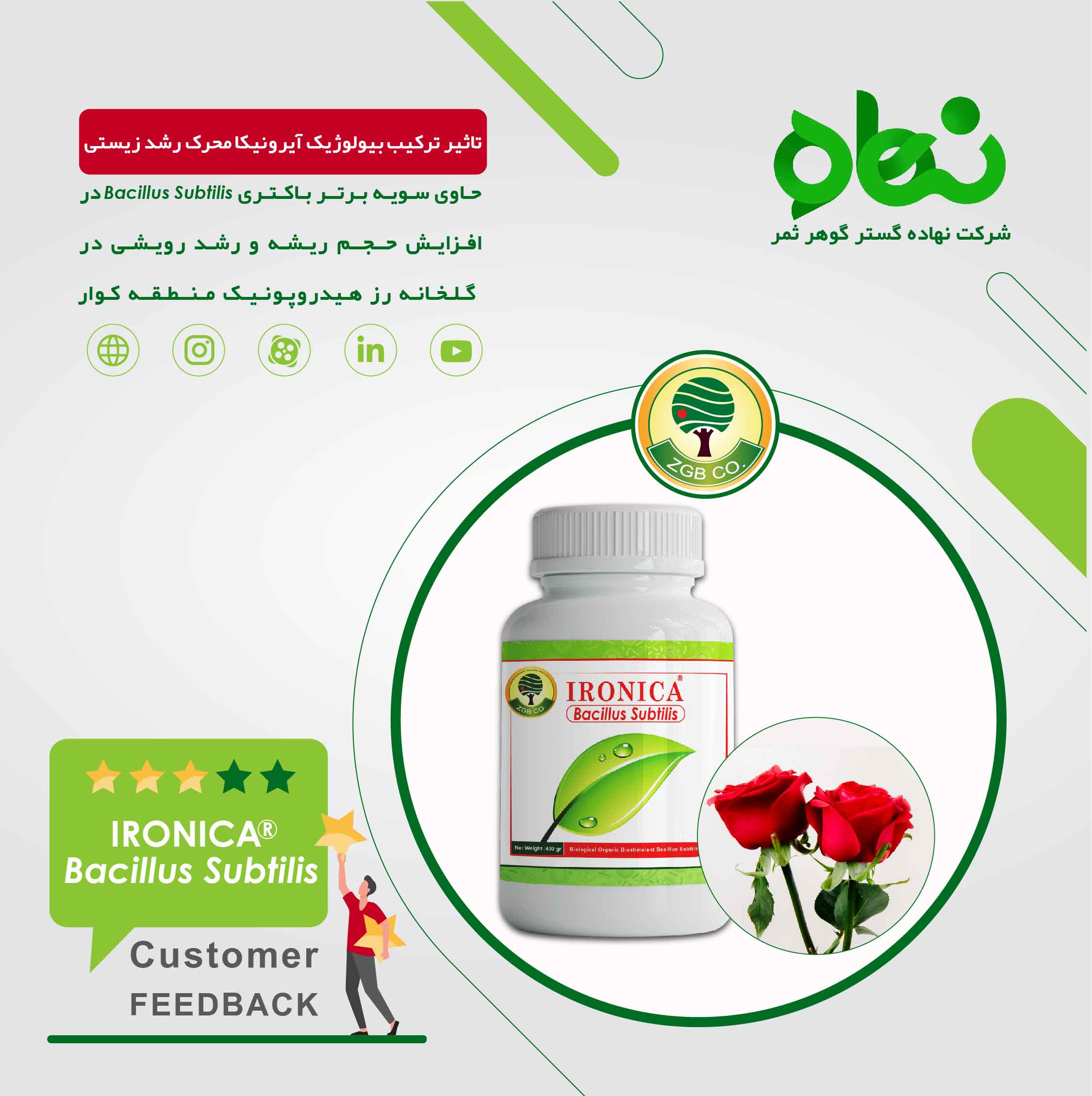 The effect of the biological composition of Ironica as a biological growth promoter in the rose greenhouse in Kavar